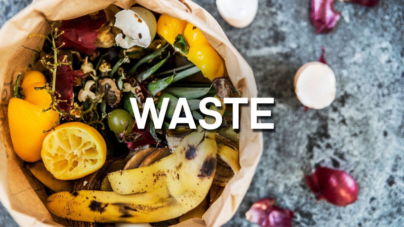 Regeneration Food: Waste